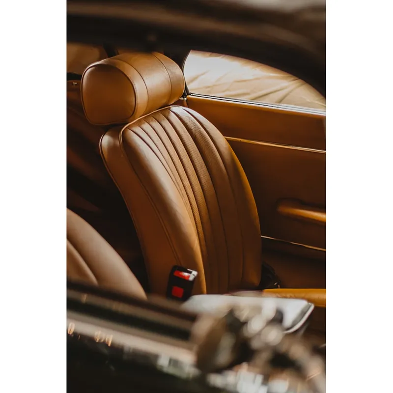 স্ক্র্যাচ গার্ড রঙ অবরুদ্ধ গাড়ী আসন রক্ষাকারী